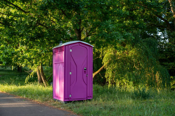 Best Portable bathroom rental  in Canadian Lakes, MI